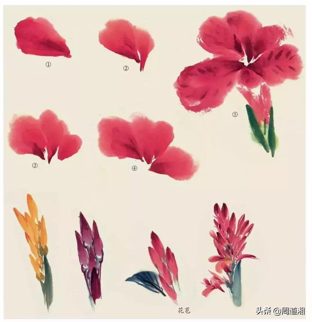 国画花卉大全教程视频,花卉小品国画图片大全