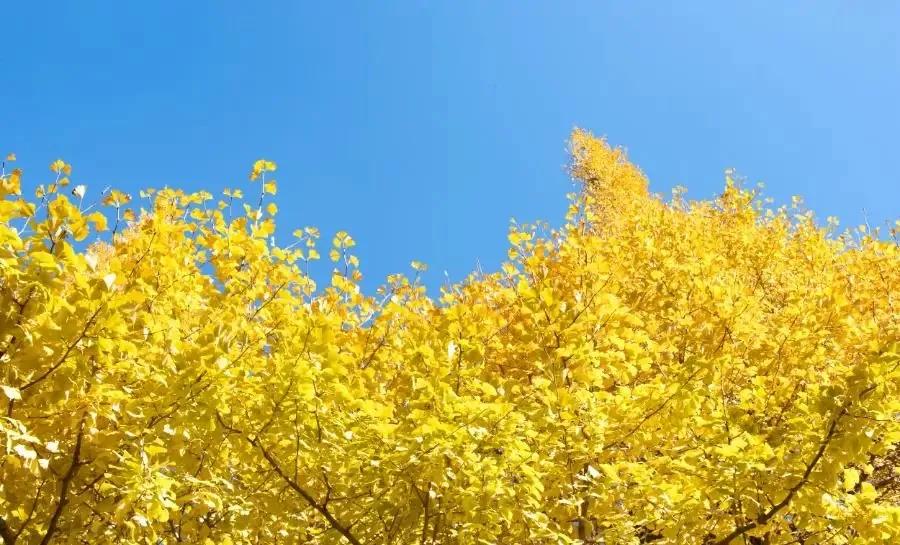 无聊的时候做什么才有意思,无聊时要做的十件事