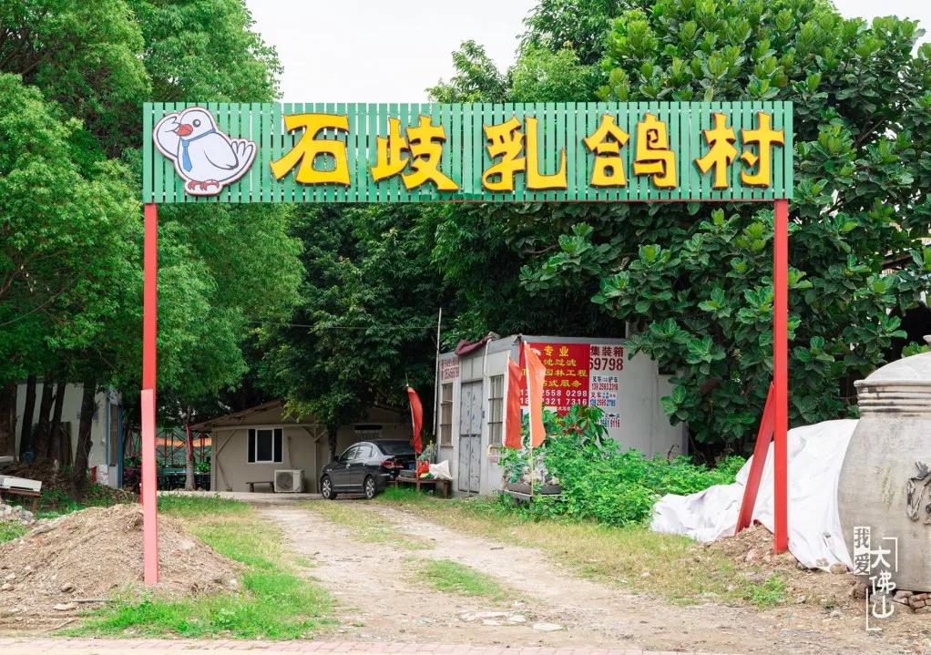 爆汁生炸乳鸽团购,月售肉鸽近7000只