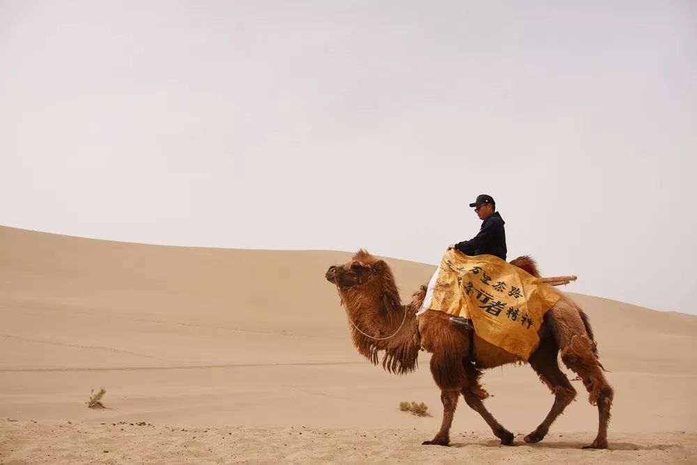 茶烟缭绕,茶烟缭绕什么歌