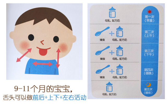 6-18月宝宝辅食添加有它就够,6-8个月辅食添加规律