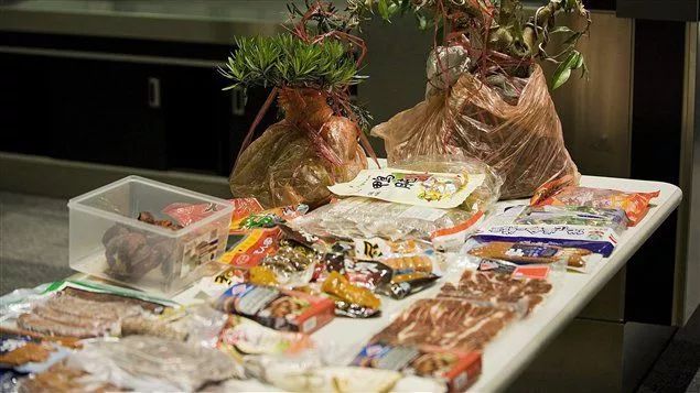 旅游回国千万别带这两种东西,出国旅游禁带物品一览表