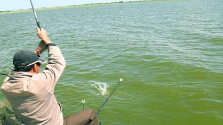 大鱼上钩最简单的方法,大鱼上钩怎么防止脱钩