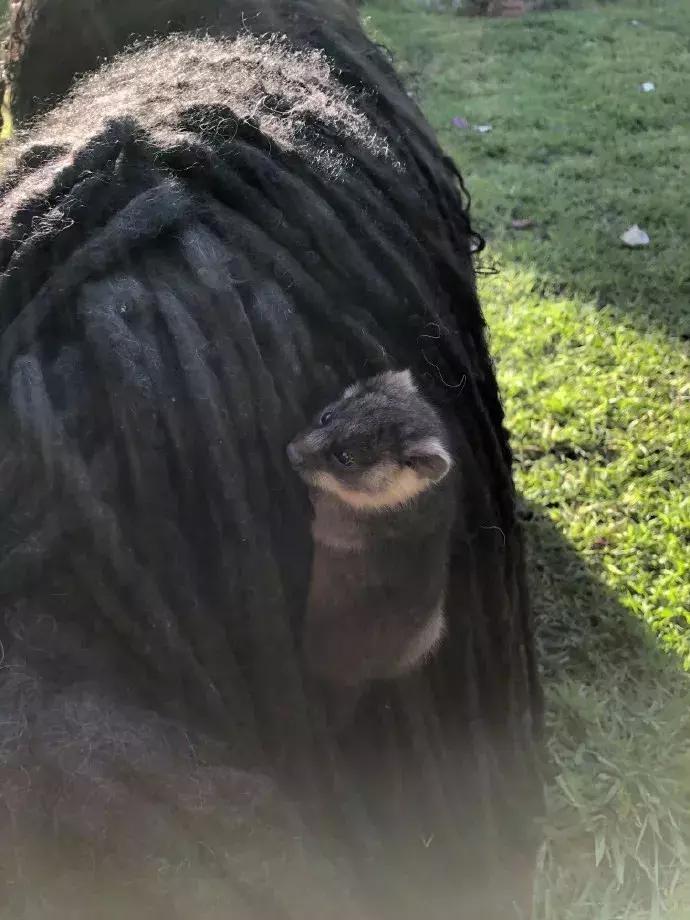 国外真人服装店模特,美国服装模特