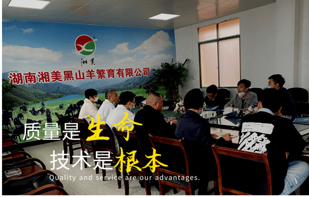 放牧黑山羊常见疾病防治,黑山羊常见皮肤疾病