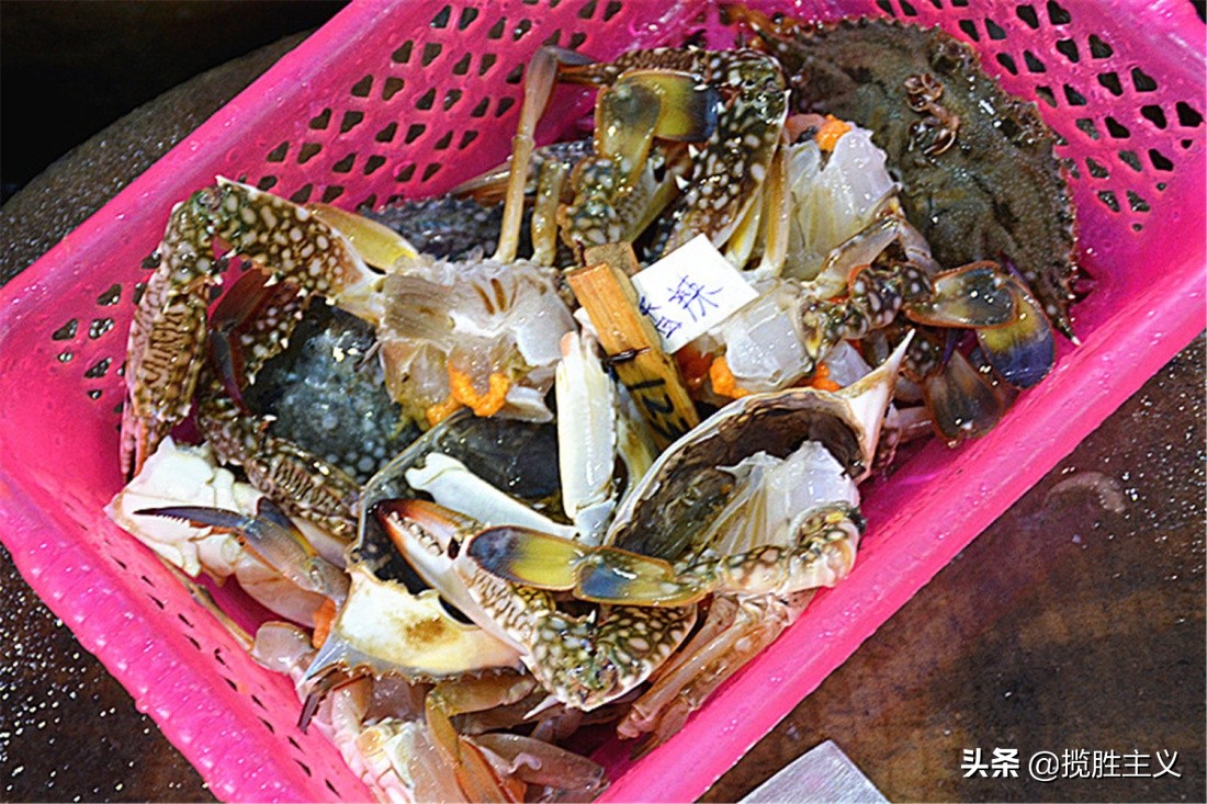 2019三亚海鲜广场,三亚火车头万人海鲜广场海鲜种类