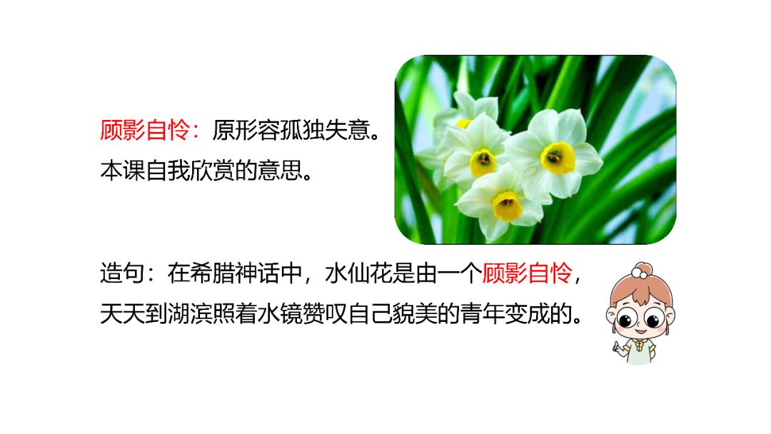 六年级上册语文第四课花之歌电子,部编版语文六年级上册花之歌讲解