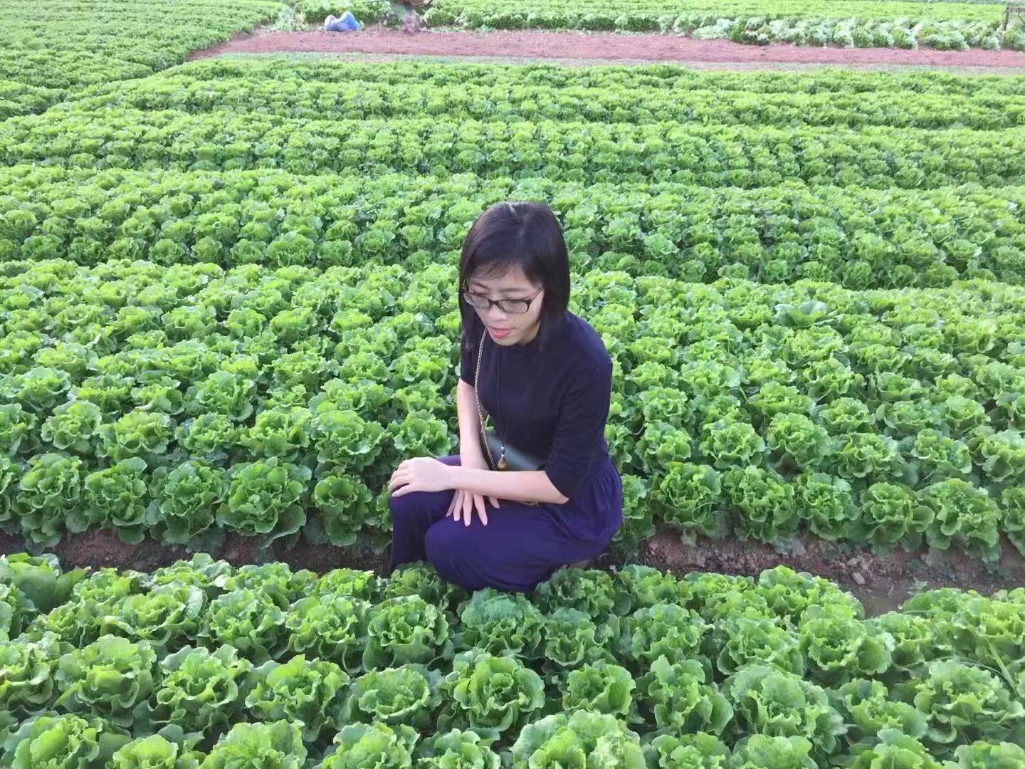 深圳石岩农场生态园攻略,深圳市石岩大树生态农场位置