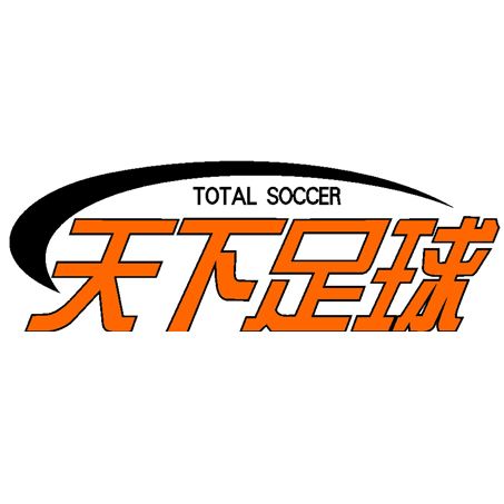 天下足球20年奇葩时刻,天下足球经典交锋