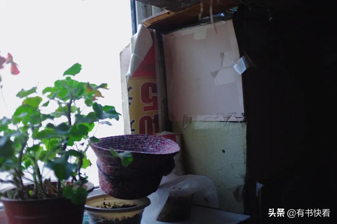 十年后，我住了最便宜的房子：2元涨到5元，依旧有女人无家可归