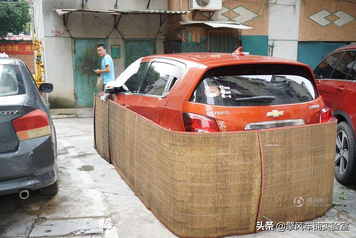 老鼠对车的危害,老鼠的危害科普动画