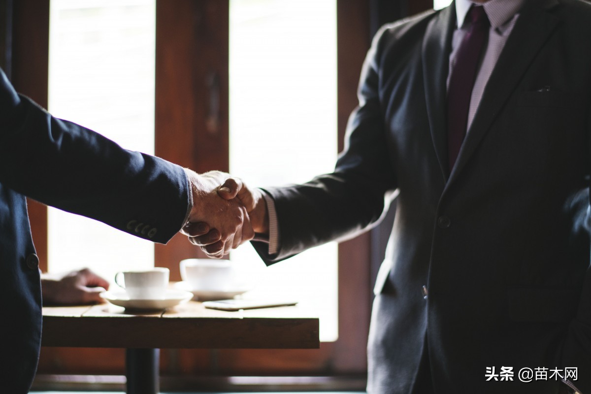 苗木网下载,今日苗木网app下载