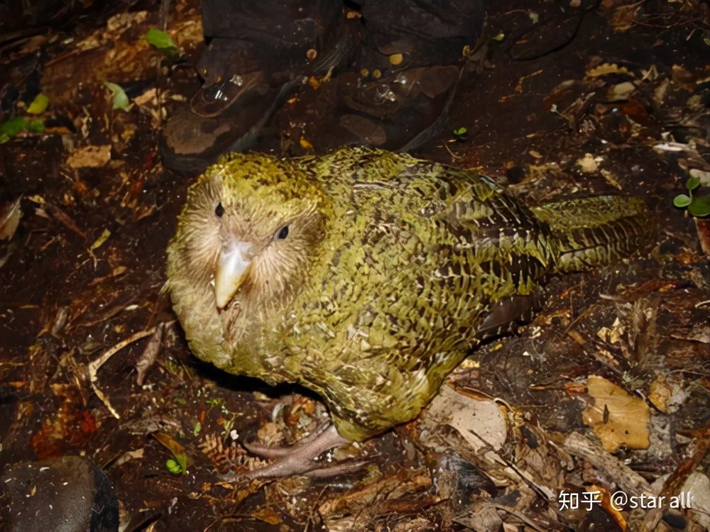 相关分析基础上怎么做模型分析,模型先验符号怎么确定