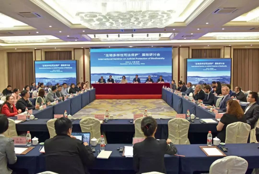 今天是个特殊纪念日，关于野生动物，我们需要了解这些……