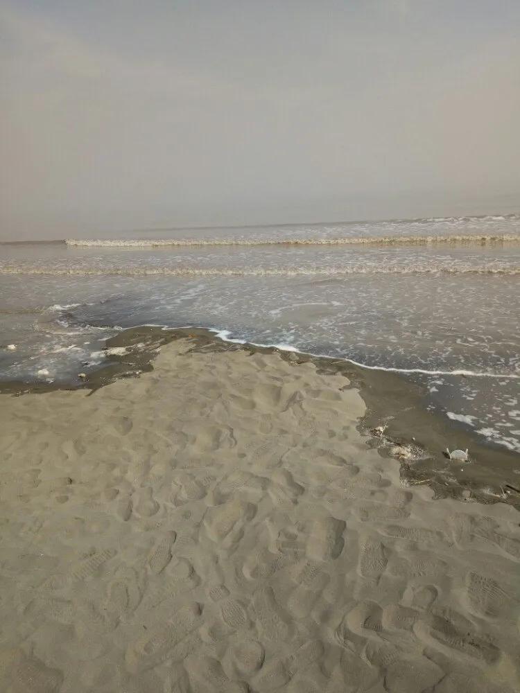 上海海水是黄色的是什么原因,深圳海水和上海海水