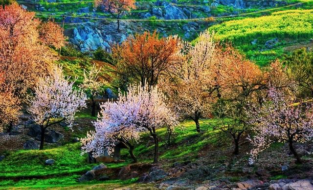 湖北松滋洈水风景区门票多少钱,松滋洈水旅游风景区游客量