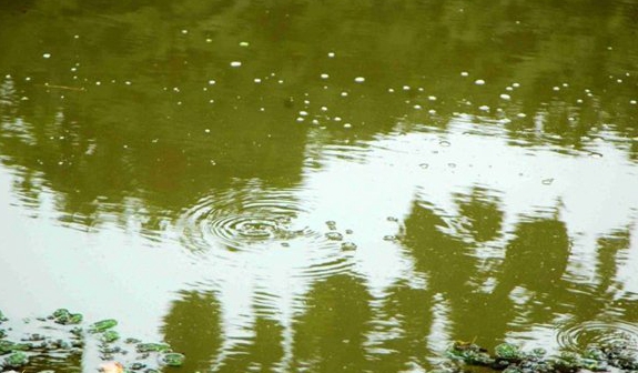 窝里有鱼不开口怎么办,窝里有鱼不咬钩图解