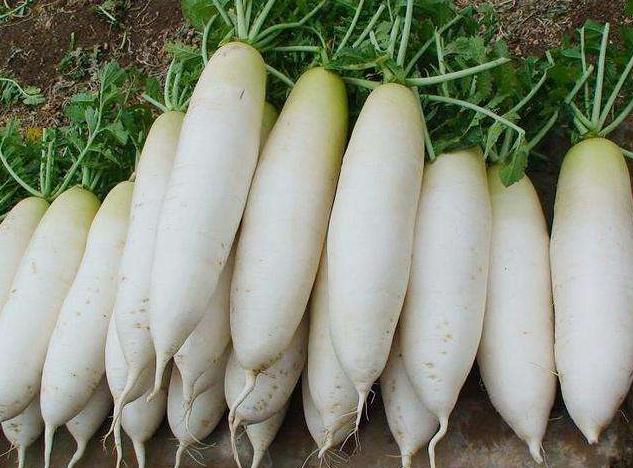 各类脚气病的治疗方法,困扰了几年的脚气