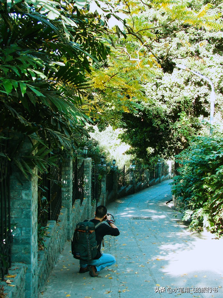 厦门有这样一个地方｜小和尚的邻居是大学生，古朴与摩登并存