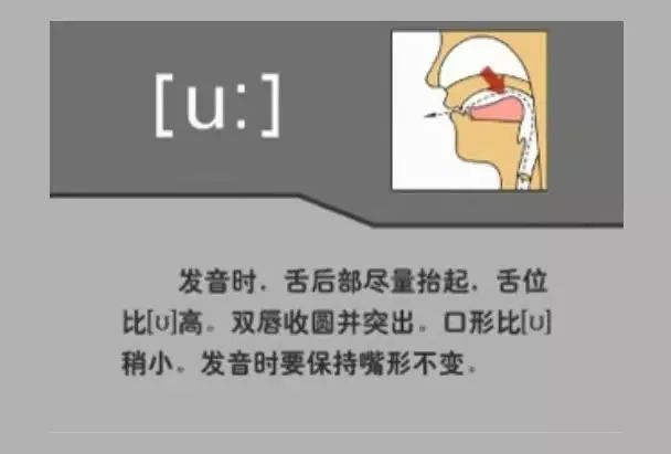 英语音标48个快速记,英语48个音标顺口溜视频教程