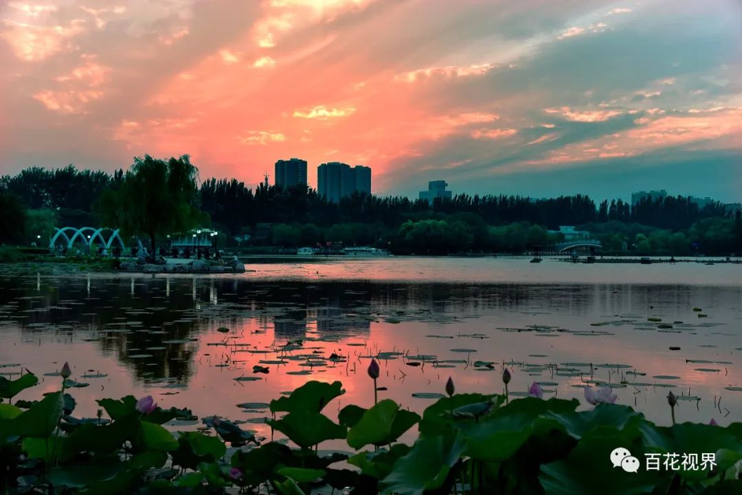 邯郸市女性摄影家,邯郸市女子摄影协会