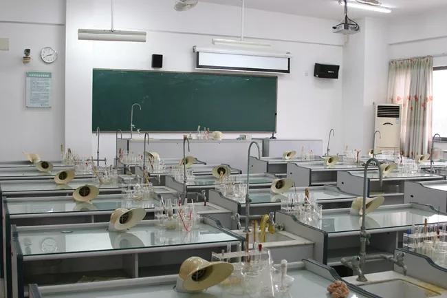 佛山华英学校2023年升学率,2023年佛山市华英学校升学率