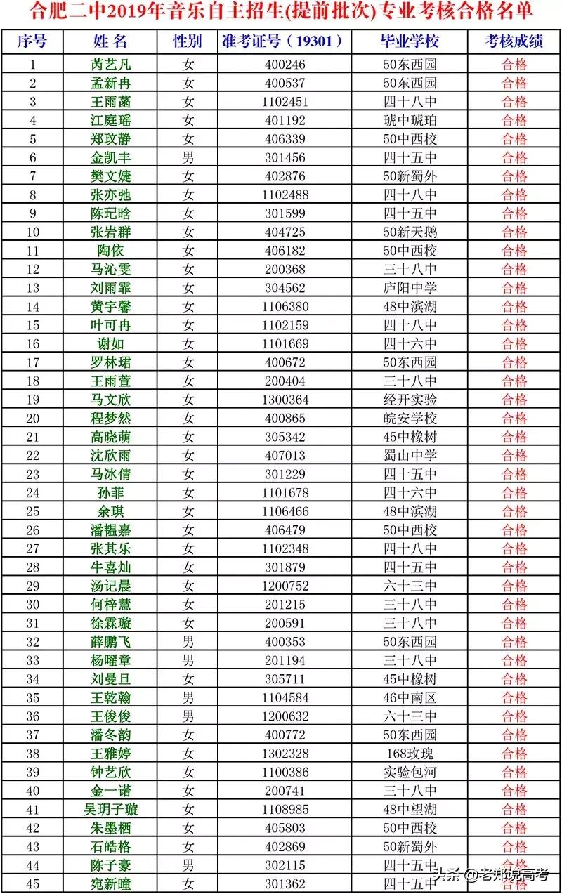 合肥二中艺术特长生招生简章,合肥二中美术特长生录取分数线
