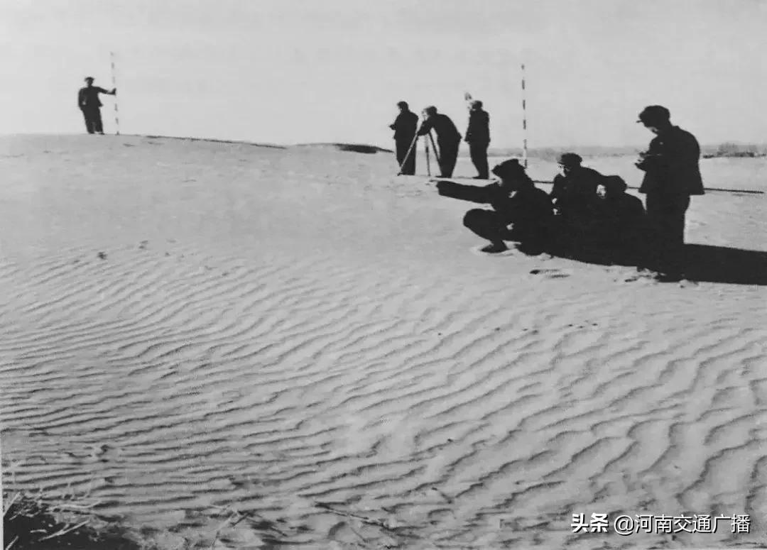 正宗兰考红薯价格,红薯大面积出售