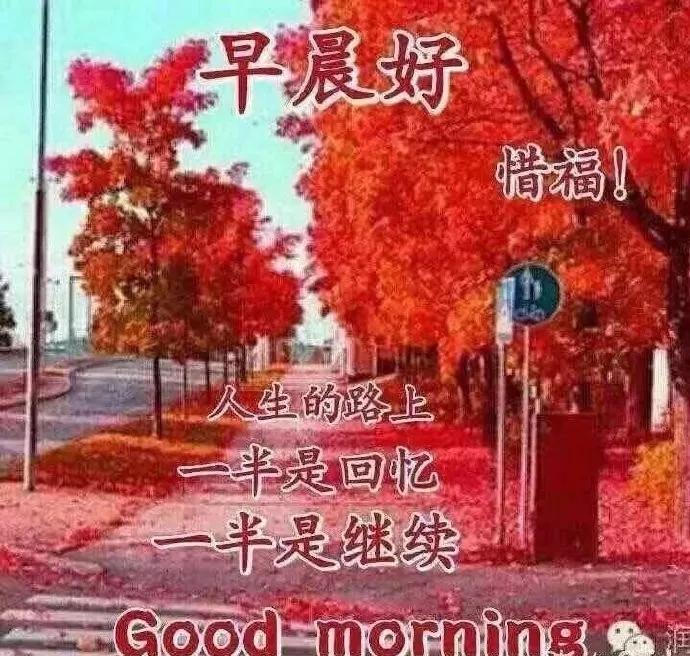 最新的早上好问候语句图片,微信早上好问候祝福语图片大全