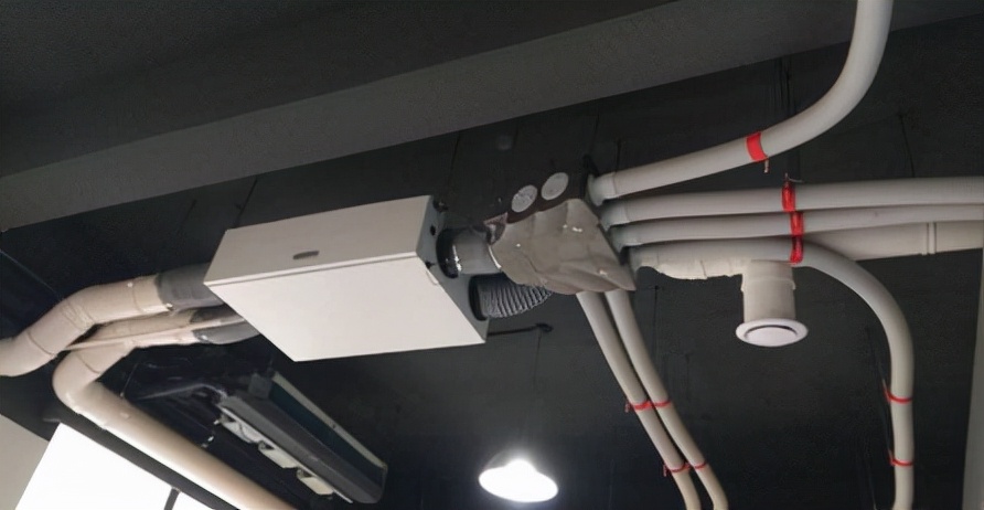 住低楼层怎么防蚊子,住低楼层私密性不好怎么解决