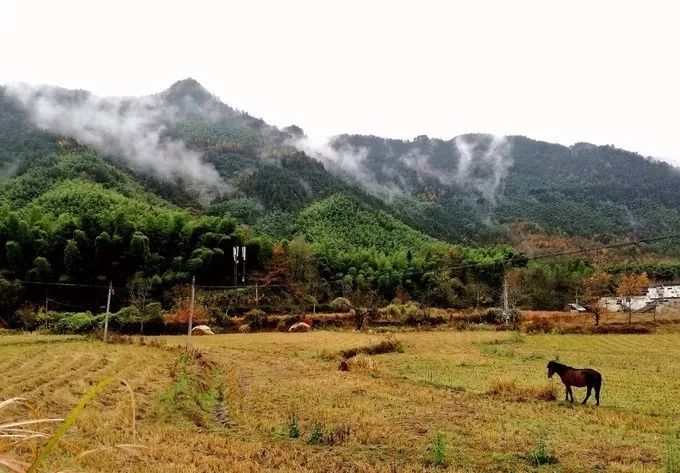 安徽值得去的四大古村,安徽春天最美十大村落