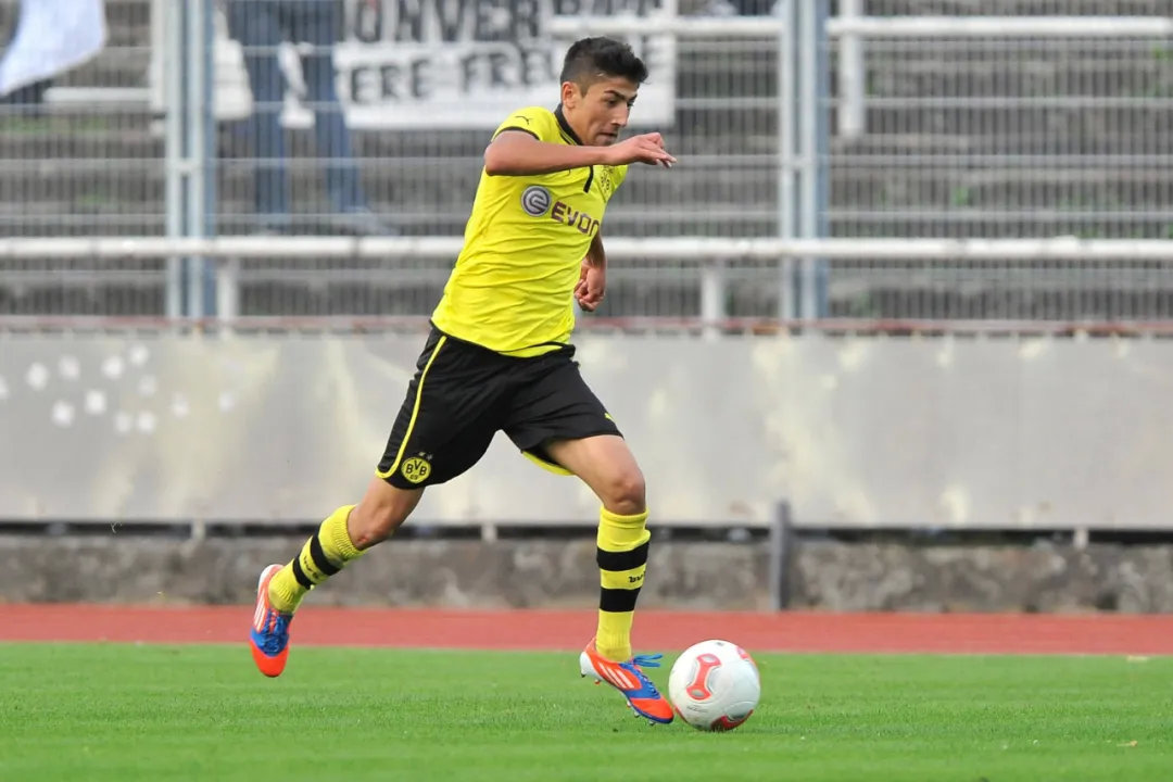 多特青训遗珠图,多特青训遗珠推荐