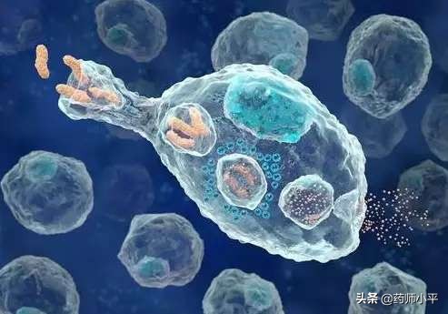 斯坦福大学发现：这种中药成份可抗新冠病毒，当年治疗SARS也有效