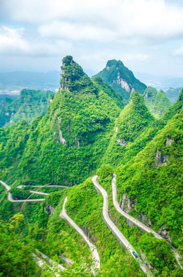 天门山森林公园和张家界森林公园,张家界天门山一日游最佳路线