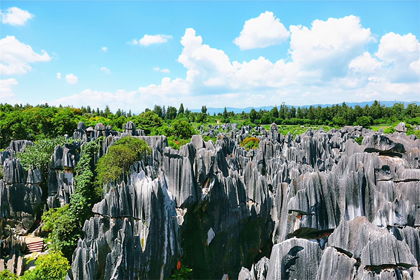 云南旅游全攻略自由行深度解析,云南每日详细旅游攻略最新