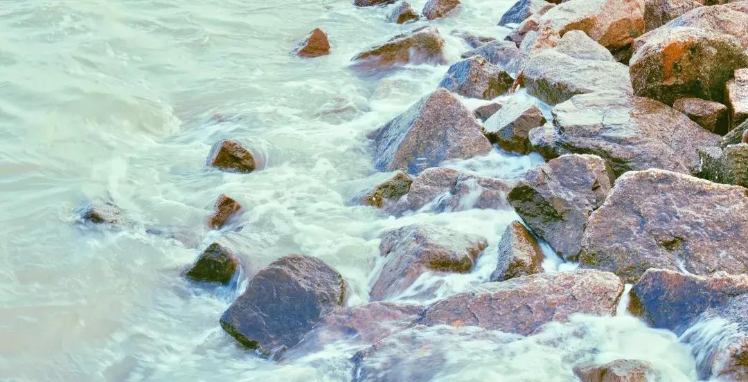 深圳湾公园这里有什么好吃的,深圳湾在哪里