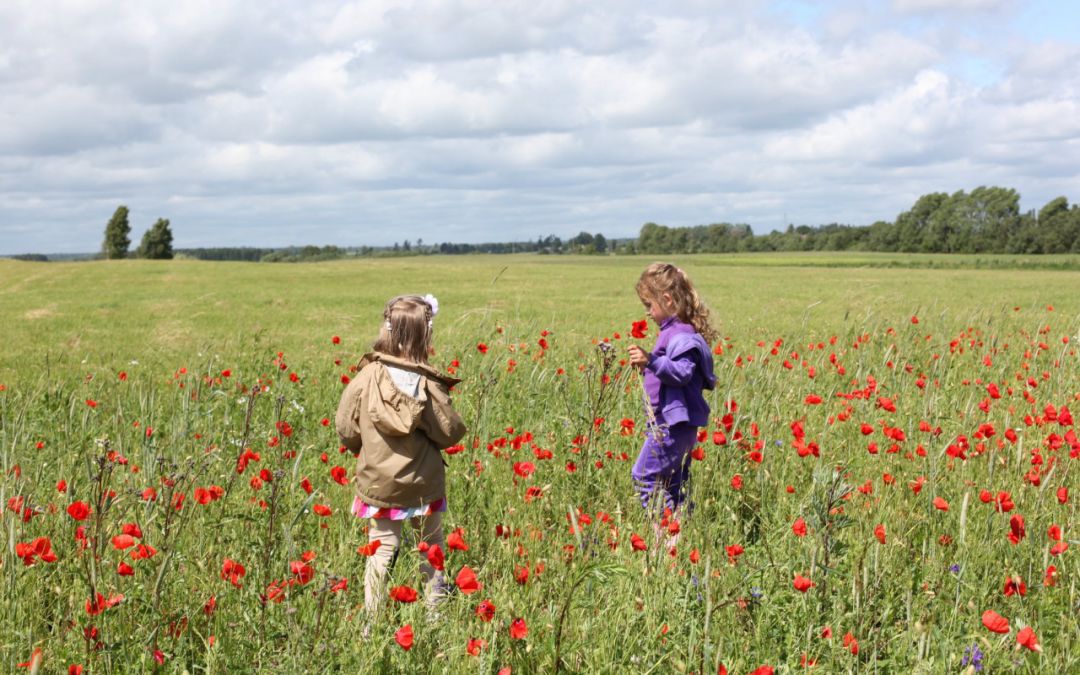 如何学好语文拼音的方法,拼音到底有没有必要提前学