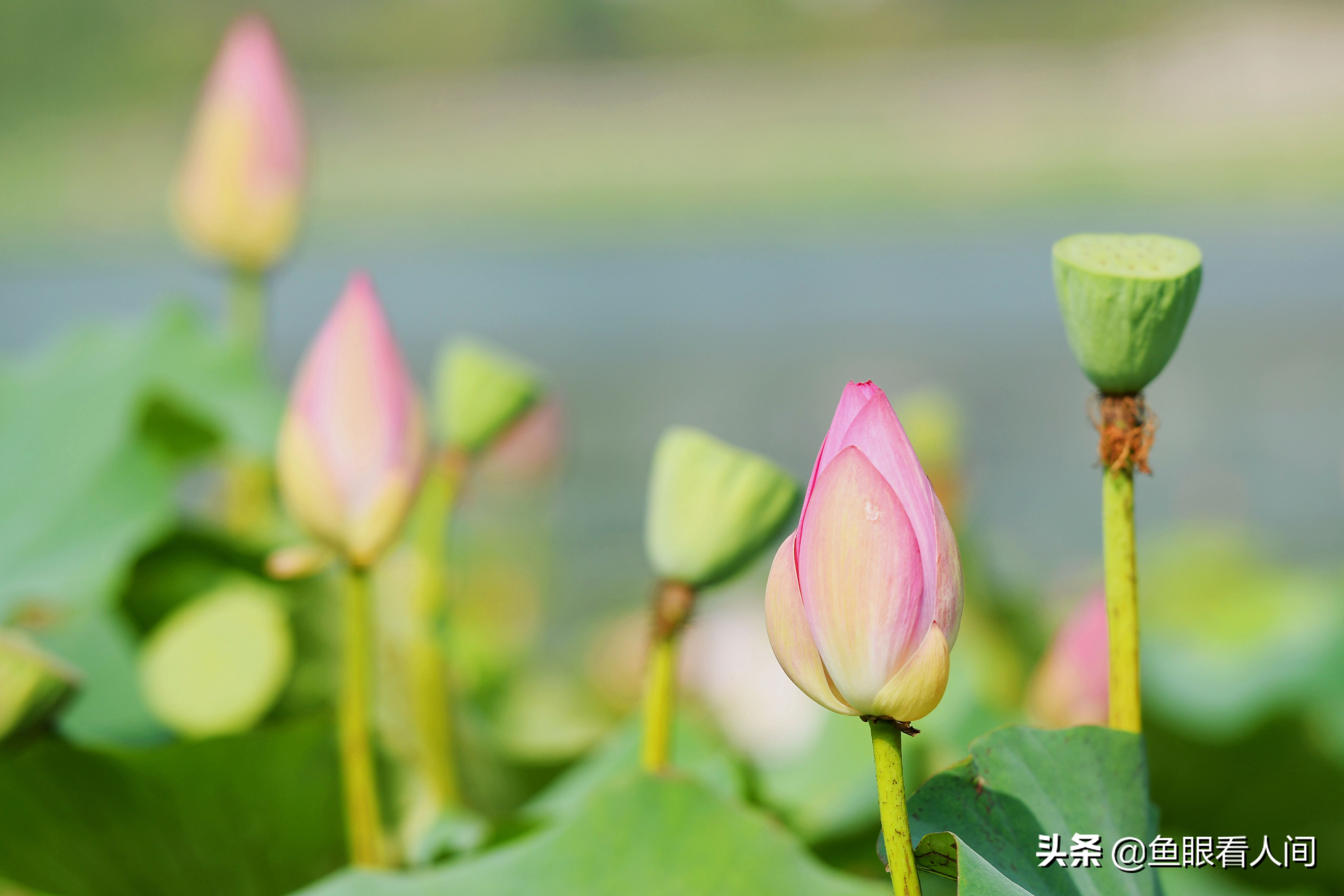 被“逼”走上的摄影路