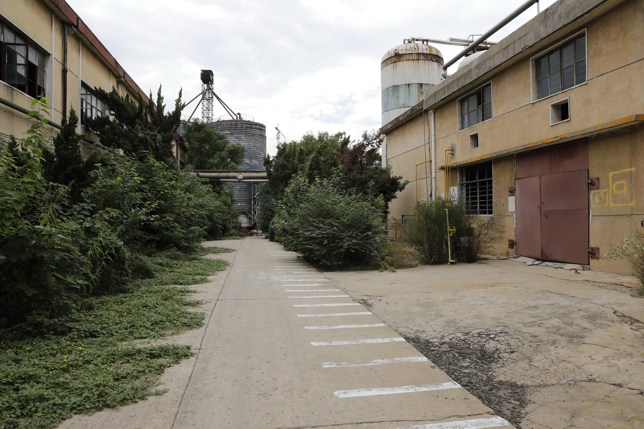 湖北武汉东西湖雪花啤酒,武汉东西湖华润雪花啤酒厂怎么样