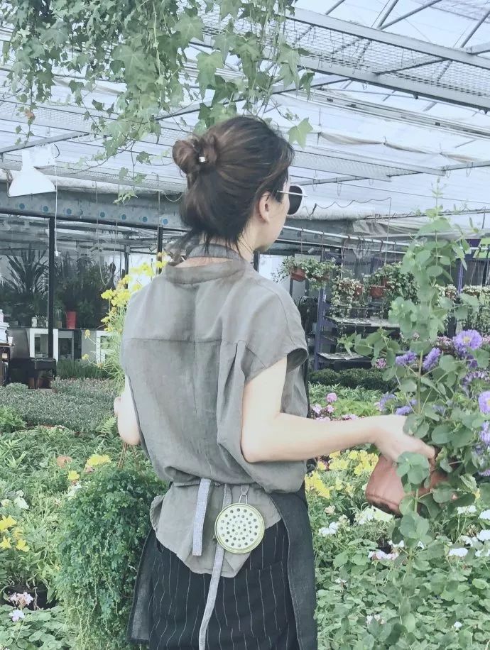 驱蚊草真的可以驱蚊子吗,驱蚊草能治蚊虫吗