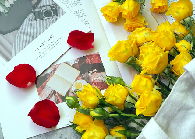 爱情保卫战2021完整版,爱情保卫战2017综艺