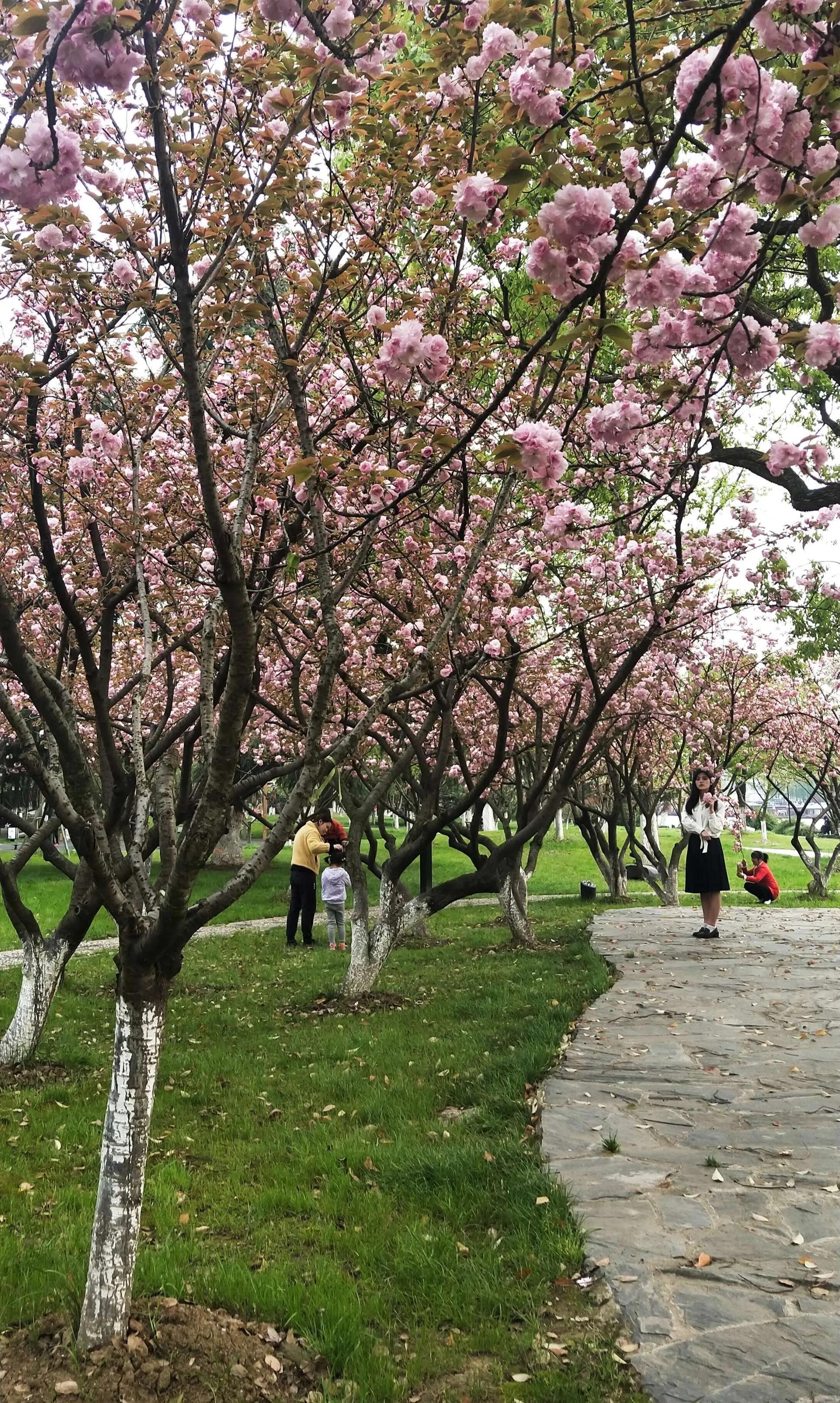 苏州现存最古老的城门,苏州古胥门介绍