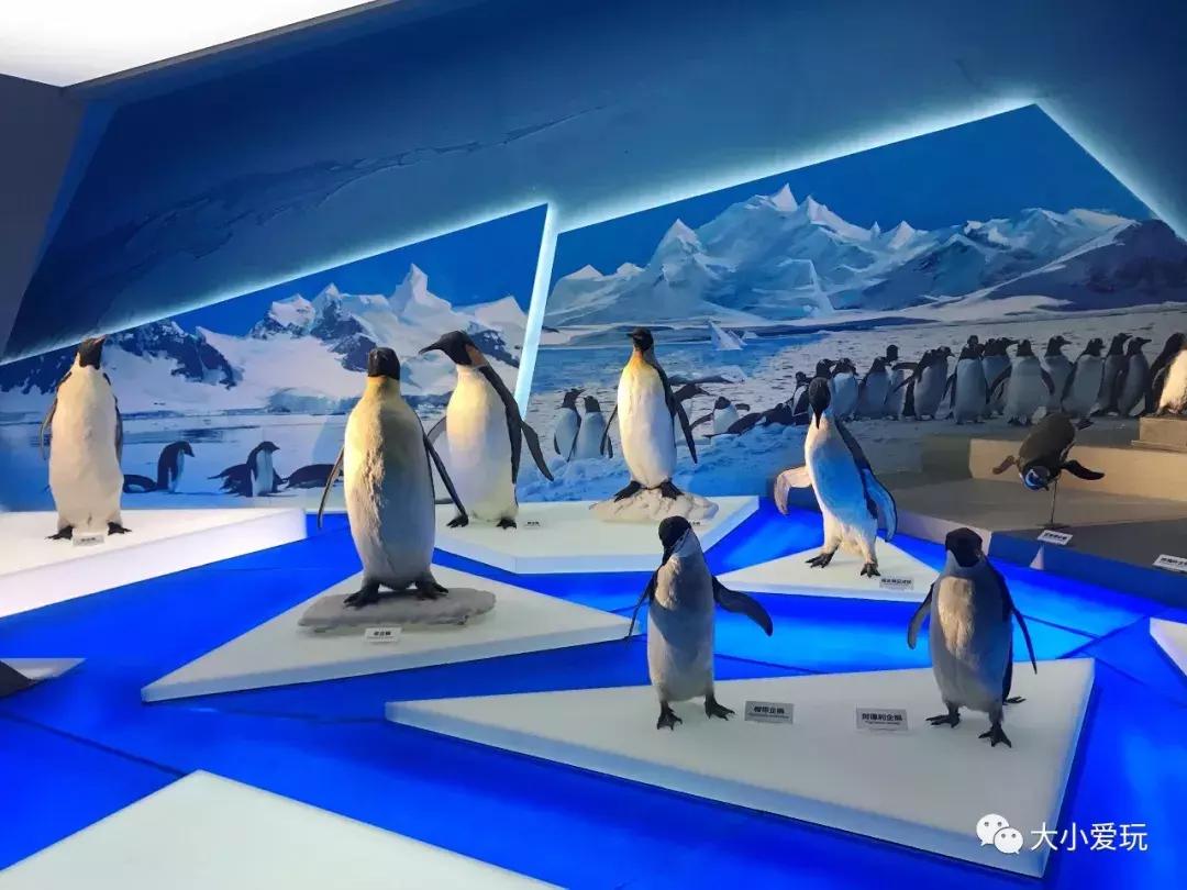 开放首日实探国家海洋博物馆，史上最抢手博物馆究竟长什么样