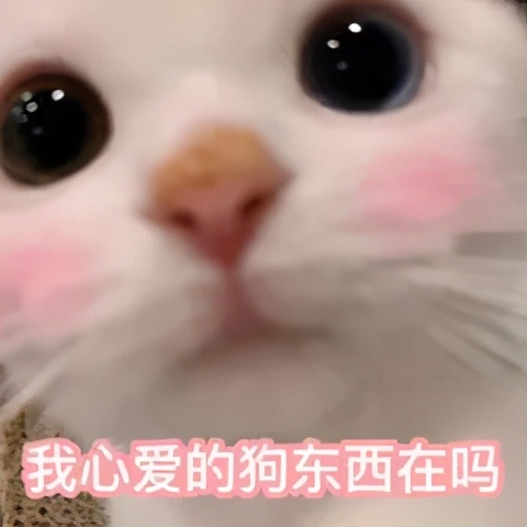 国产德爱威乳胶漆和进口的区别,佐敦乳胶漆是进口的还是国产的