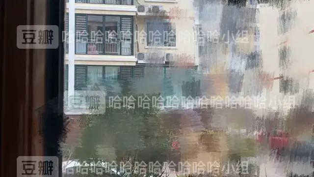 哈哈哈哈哈哈我笑到我妈把鞋塞我嘴里