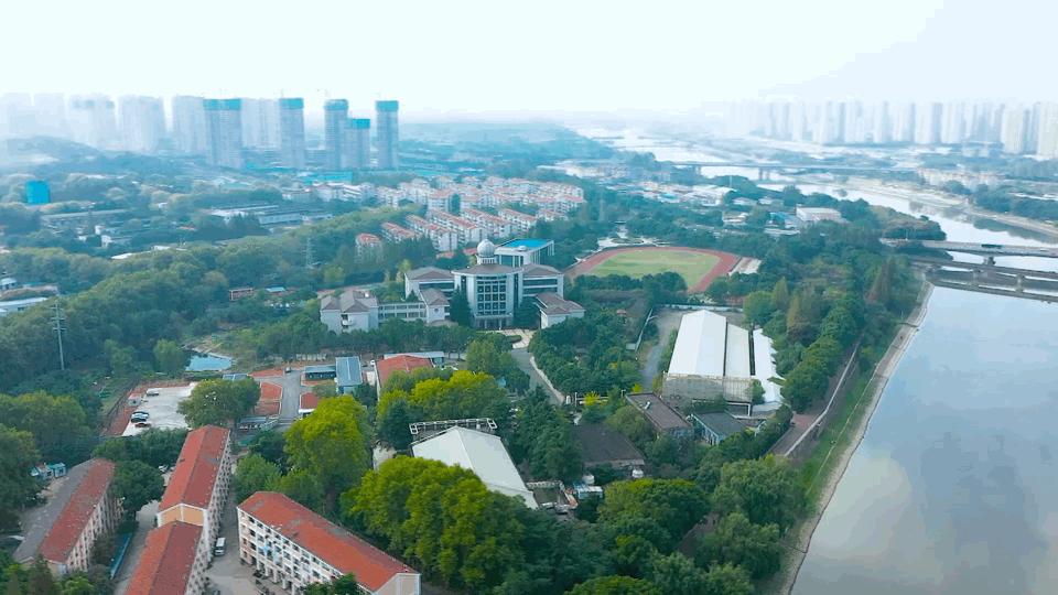 南京八大名校高考喜报,北大喜报背后的故事