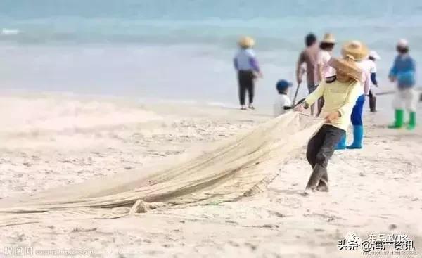 中国的四大渔场及其形成条件,目前中国最大的渔场是什么渔场