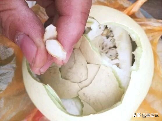 一把葫芦卖到上千上万，连种子都“千金难求”