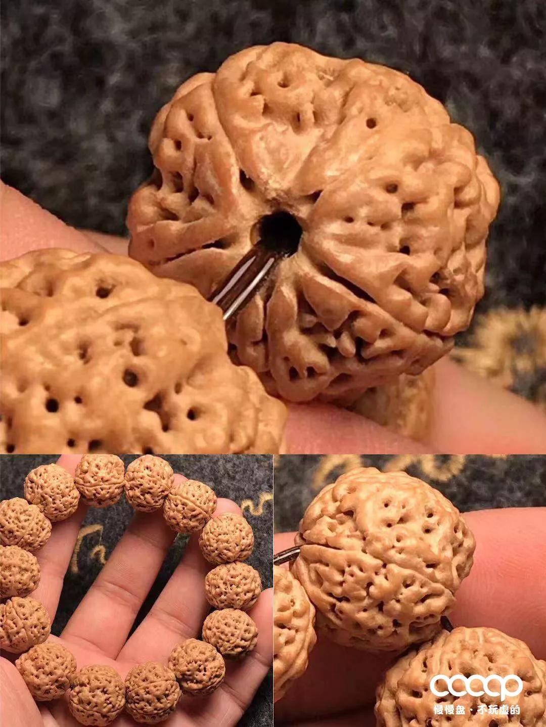 上万一条的药王籽火了后，很多尼泊尔树农大量从中国进药