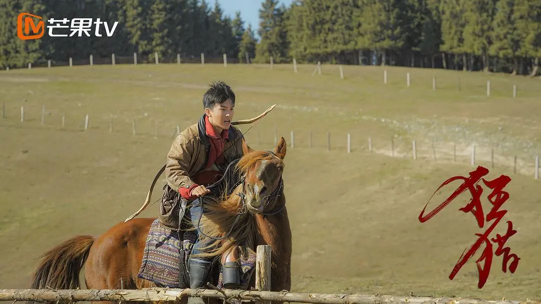 2021年Q1四大网络视频平台剧集预排